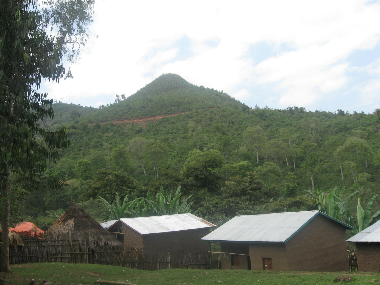 Village houses below a forested mountain in rural Ethiopia (illustrative photo)